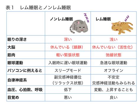 睡眠中|【睡眠の役割とは？】眠っている間に行われている5。